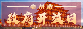 政府开放日